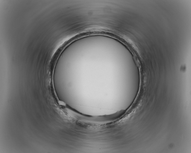 X0000090860973200708171602