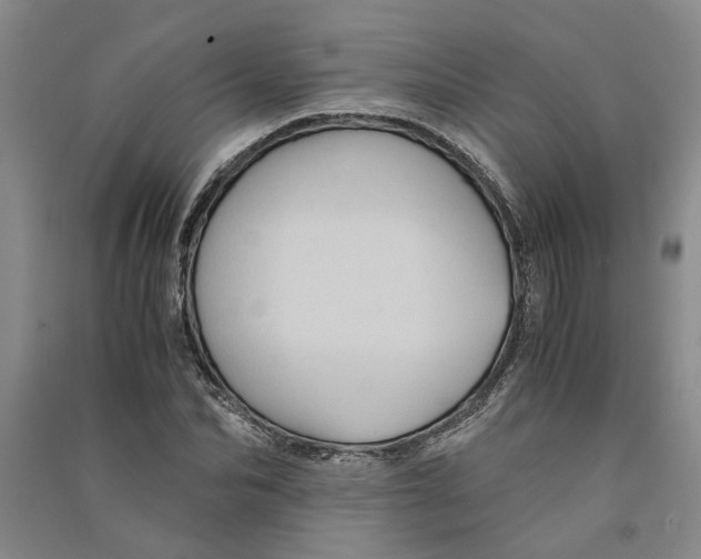 X0000090860974200708171602