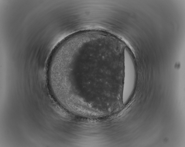 X0000090860975200708171602