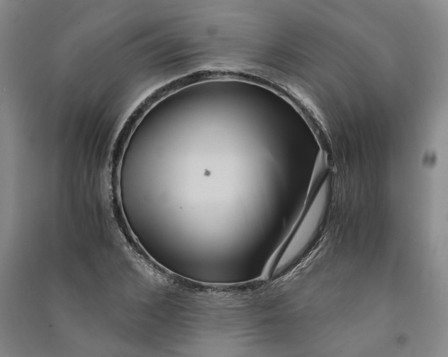 X0000090860976200708171602