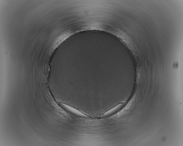 X0000090860977200708171602