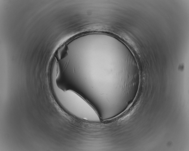 X0000090860981200708171602