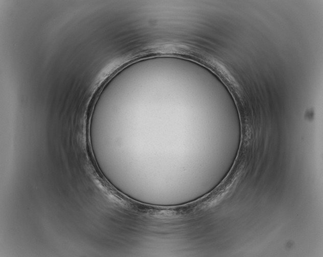 X0000090860986200708171601