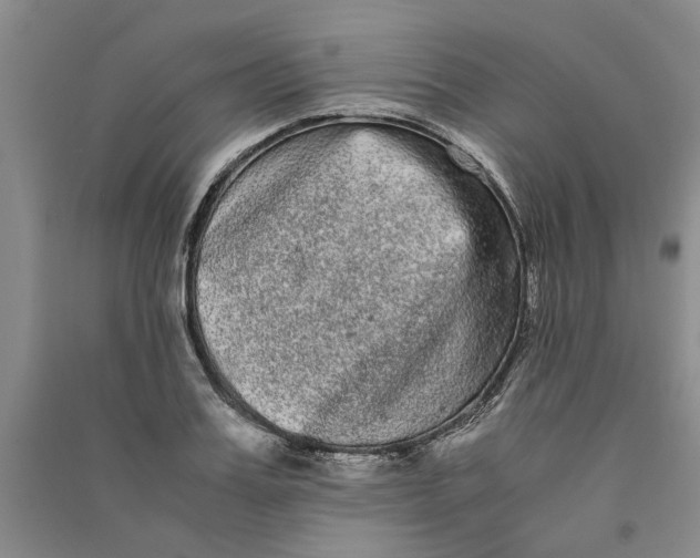 X0000090860987200708171601