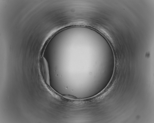 X0000090860989200708171601