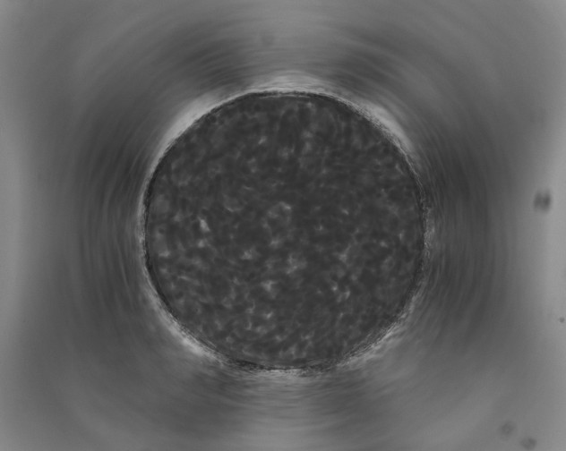 X0000090860990200708171601