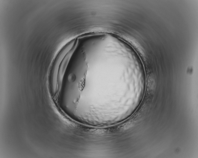 X0000090860991200708171601