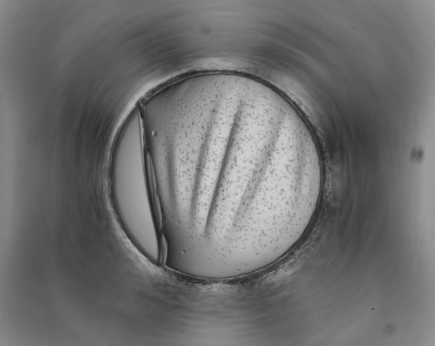 X0000090860992200708171601