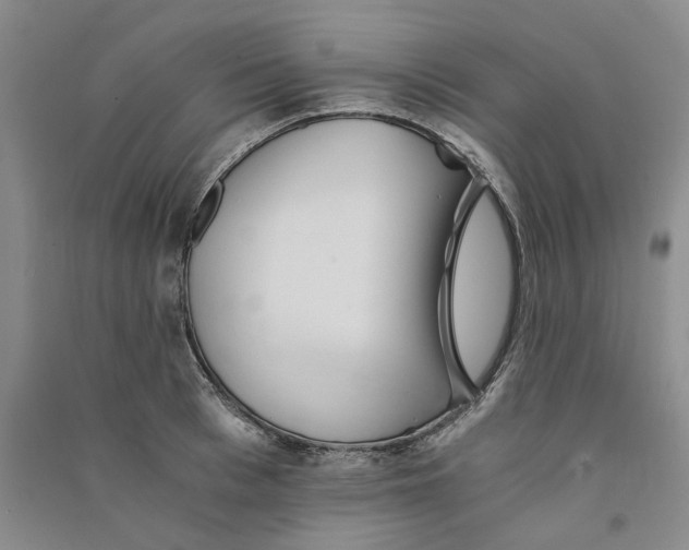 X0000090860993200708171601