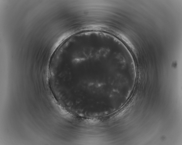 X0000090860994200708171601