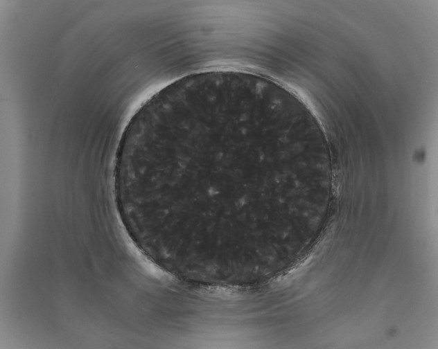 X0000090860995200708171601