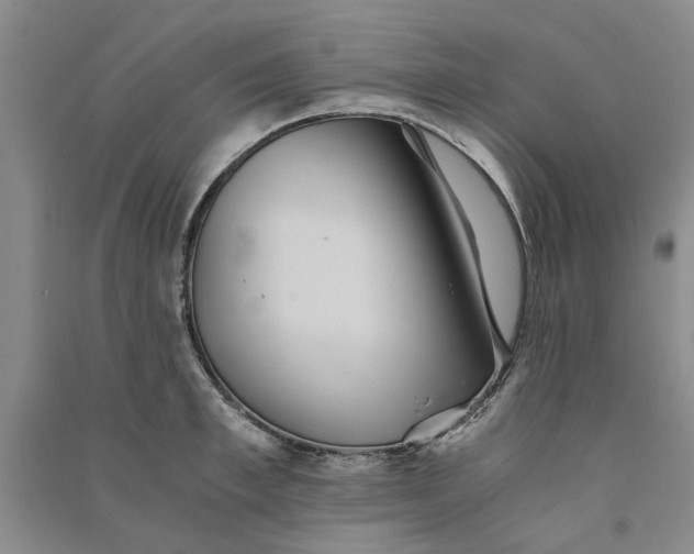 X0000090860997200708171601