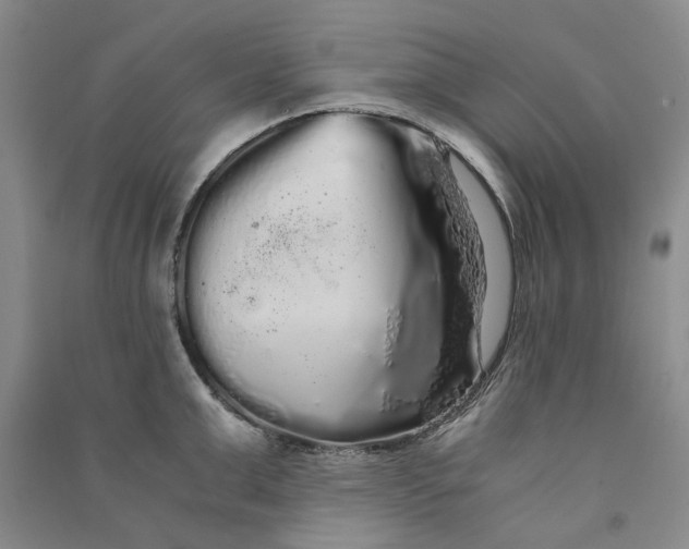 X0000090860999200708171601
