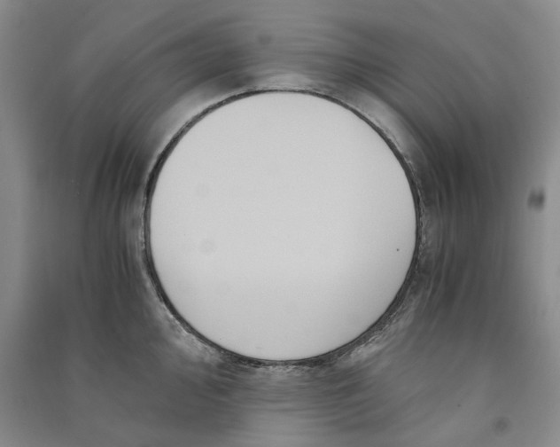 X0000090861000200708171601