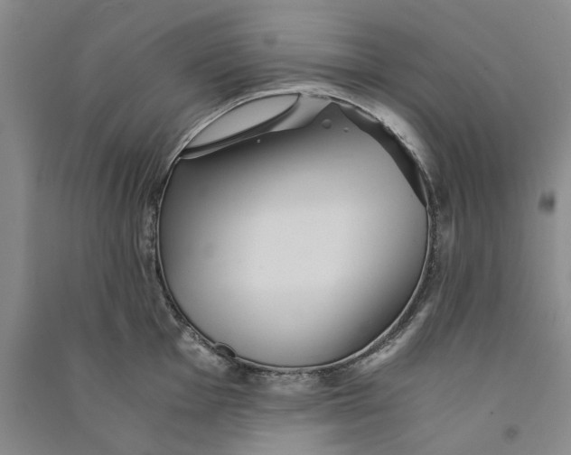 X0000090861001200708171601