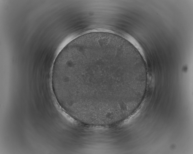 X0000090861002200708171601