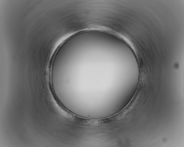 X0000090861003200708171601