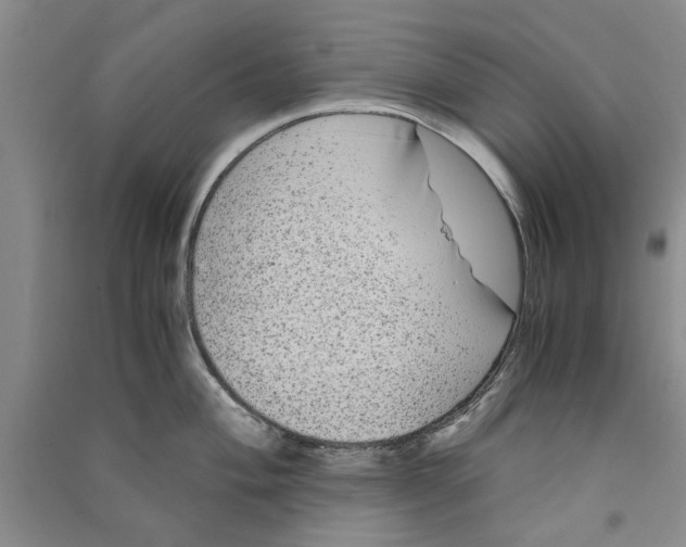 X0000090861004200708171601