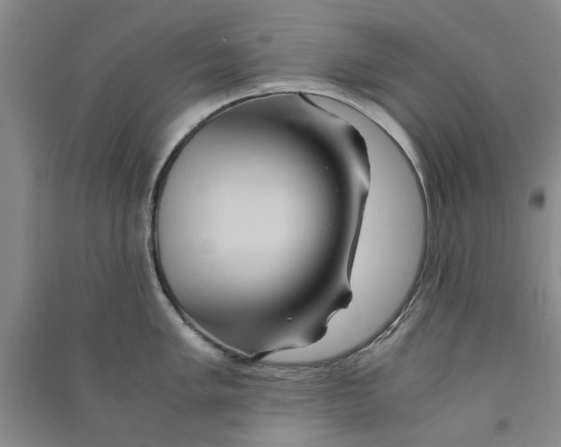 X0000090861005200708171601