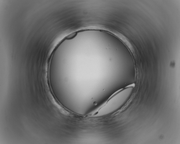 X0000090861006200708171601