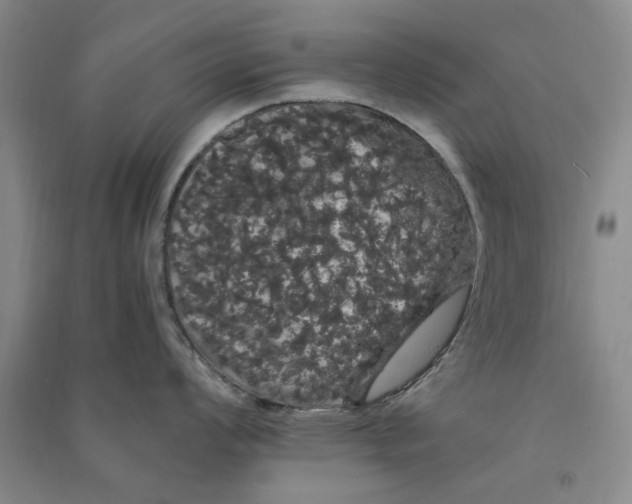 X0000090861008200708171601