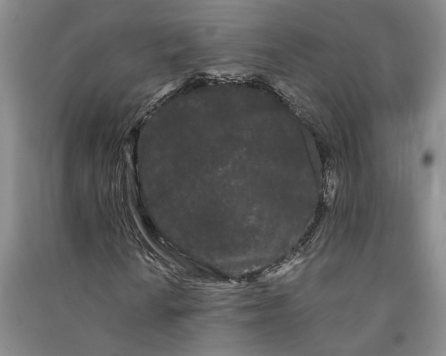 X0000090861010200708171601