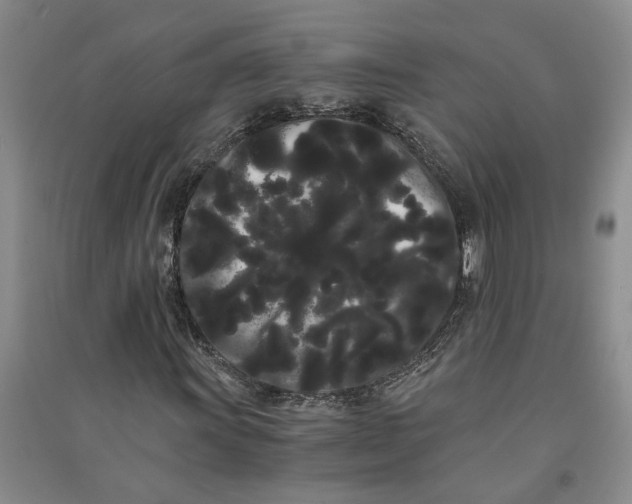 X0000090861011200708171601