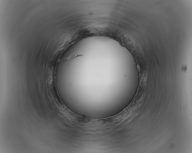 X0000090861012200708171601