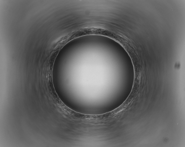 X0000090861014200708171601