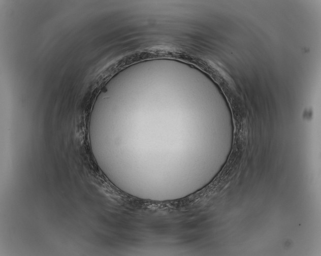 X0000090861015200708171601