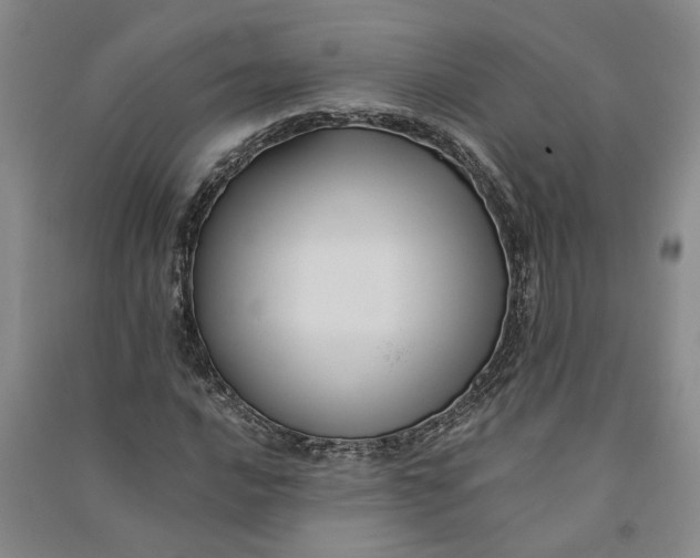 X0000090861016200708171601