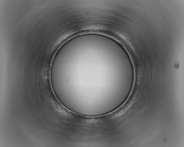X0000090861017200708171601