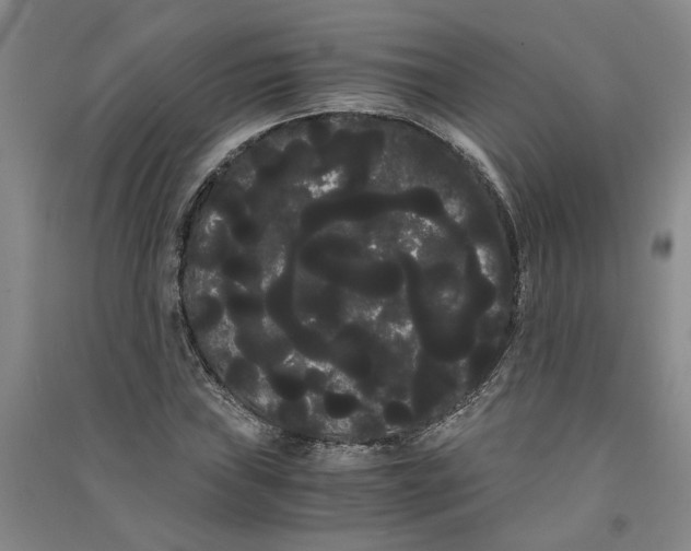 X0000090861019200708171601