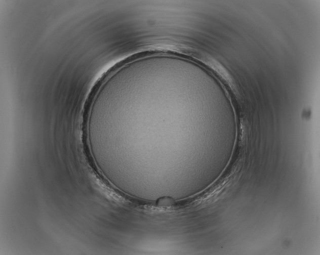 X0000090861020200708171601