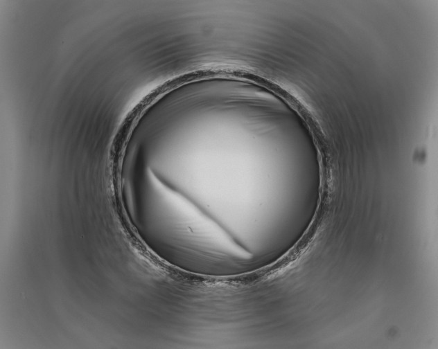 X0000090861022200708171601