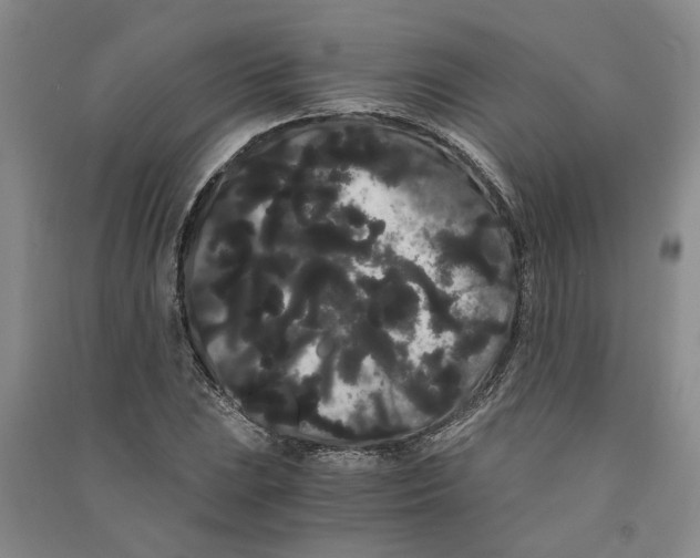 X0000090861023200708171601