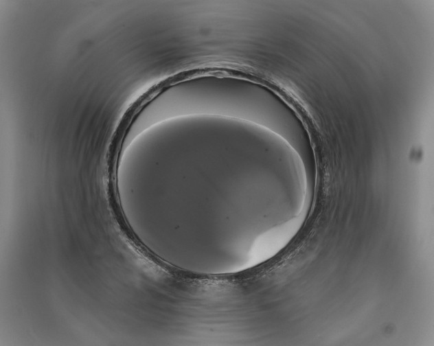 X0000090861024200708171601