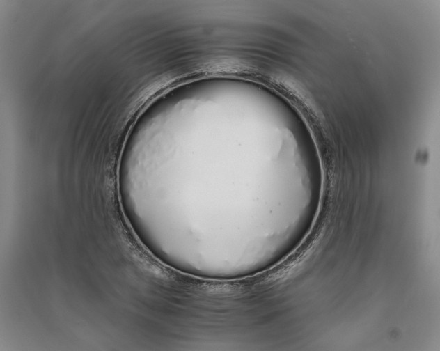 X0000090861025200708171601