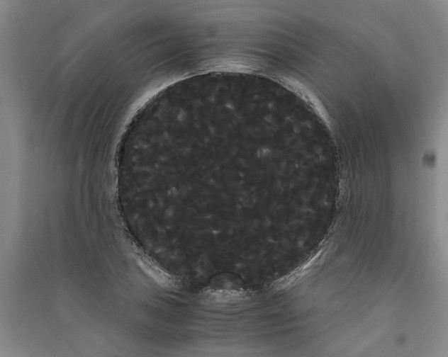 X0000090861027200708171601