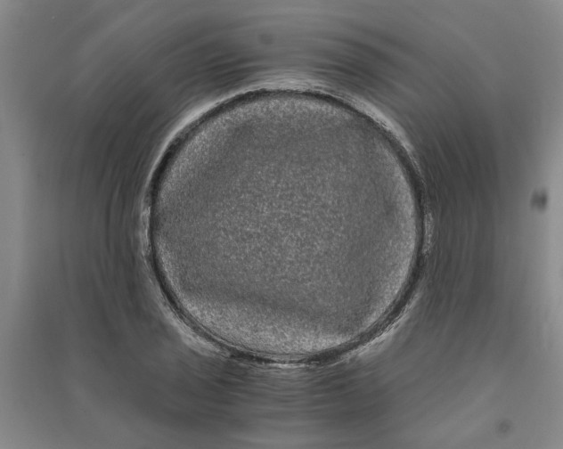 X0000090861029200708171601