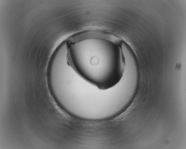 X0000090861030200708171601