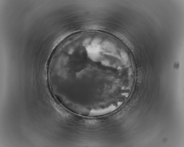 X0000090861031200708171601
