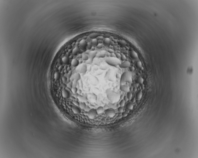 X0000090861032200708171601