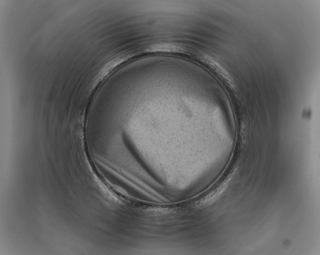 X0000090861033200708171601