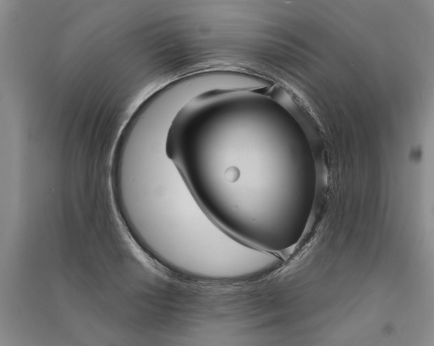X0000090861034200708171601