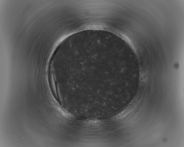 X0000090861035200708171601
