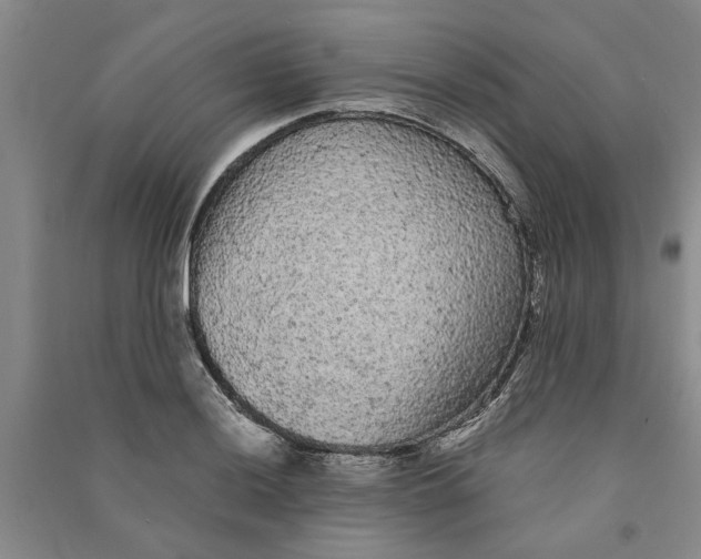 X0000090861036200708171601