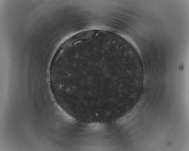 X0000090861037200708171601