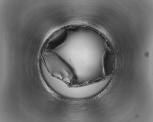 X0000090861038200708171601