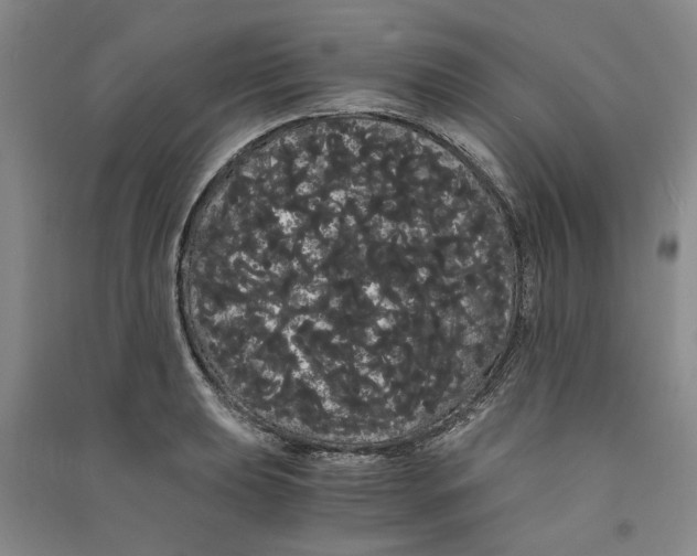 X0000090861039200708171601